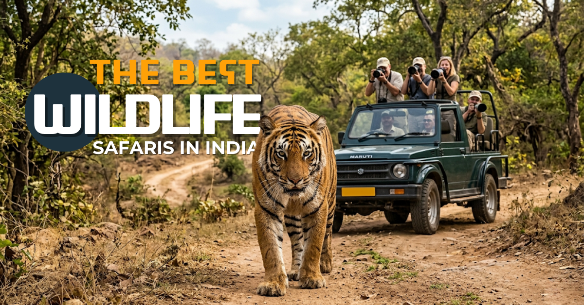 The Best Wildlife Safaris in India